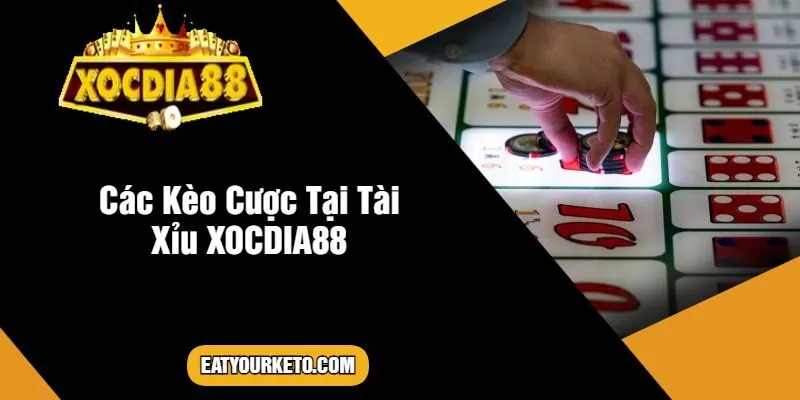 Các Kèo Cược Tại Tài Xỉu XOCDIA88