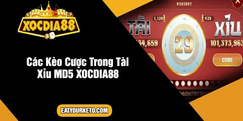 Các Kèo Cược Trong Tài Xỉu MD5 XOCDIA88