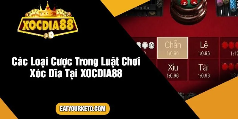 Các Loại Cược Trong Luật Chơi Xóc Dĩa Tại XOCDIA88