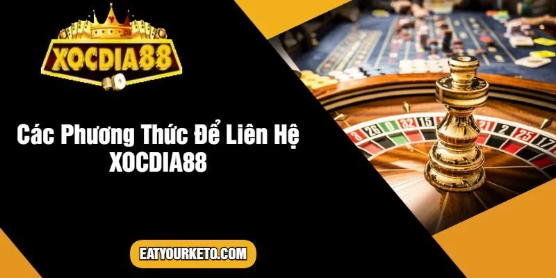 Các Trường Hợp Cần Phải Liên Hệ XOCDIA88