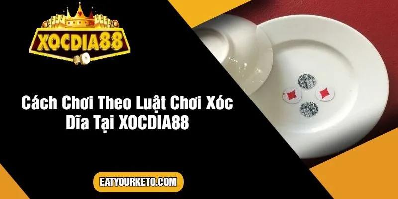 Cách Chơi Theo Luật Chơi Xóc Dĩa Tại XOCDIA88