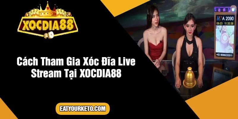 Cách Tham Gia Xóc Đĩa Live Stream Tại XOCDIA88