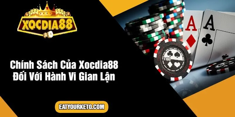 Chính Sách Của XOCDIA88 Đối Với Hành Vi Gian Lận