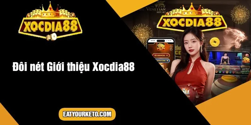 Đôi nét Giới thiệu Xocdia88