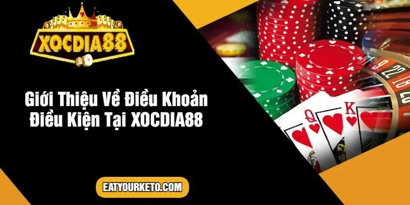 Giới Thiệu Về Điều Khoản Điều Kiện Tại XOCDIA88