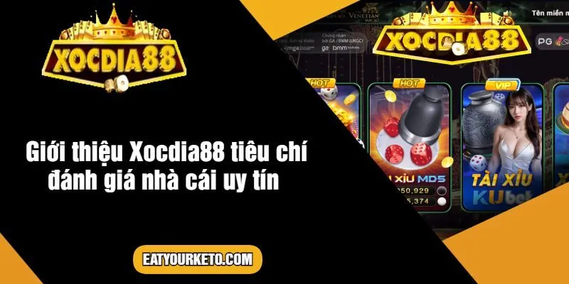 Giới thiệu Xocdia88 tiêu chí đánh giá nhà cái uy tín 