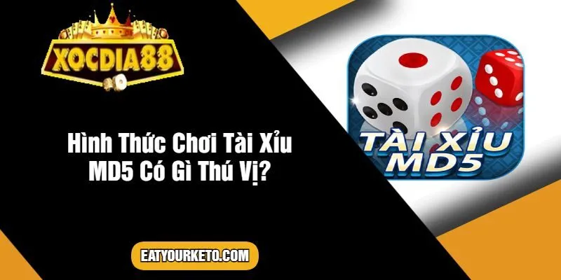 Hình Thức Chơi Tài Xỉu MD5 Có Gì Thú Vị?