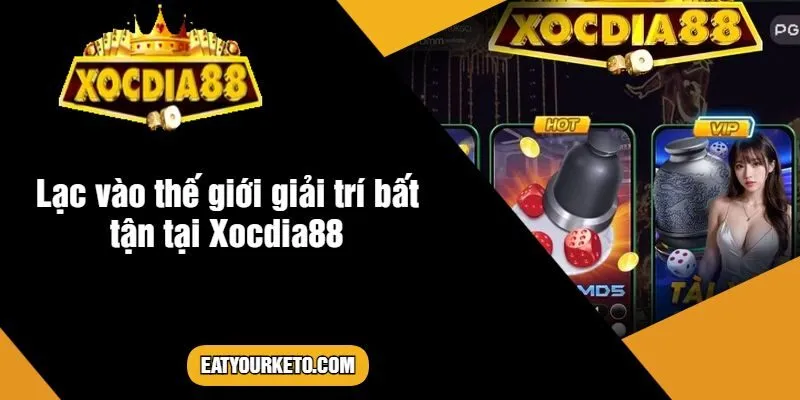 Lạc vào thế giới giải trí bất tận tại Xocdia88