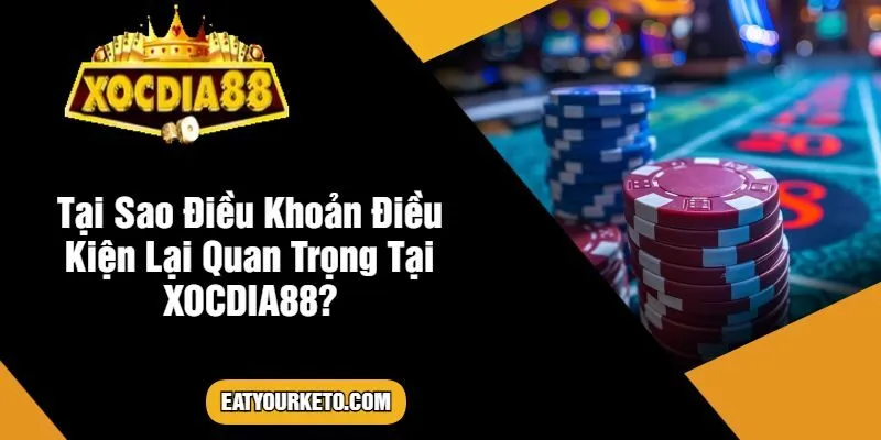 Tại Sao Điều Khoản Điều Kiện Lại Quan Trọng Tại XOCDIA88?